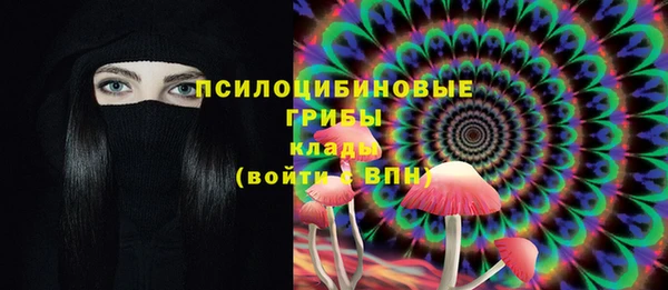 spice Белокуриха