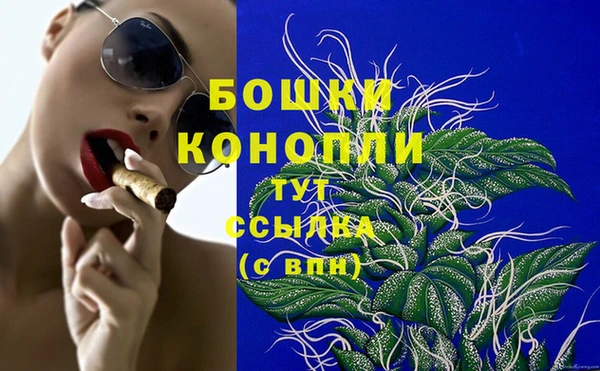 spice Белокуриха