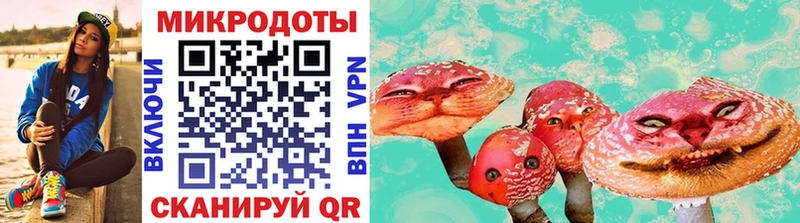 наркота  Новосибирск  кракен онион  Псилоцибиновые грибы прущие грибы 